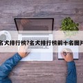 名犬排行榜?名犬排行榜前十名图片